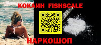 ECSTASY Гай