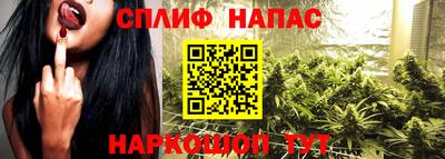 ГАЛЛЮЦИНОГЕННЫЕ ГРИБЫ Гатчина