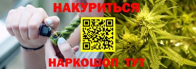 ECSTASY Гай