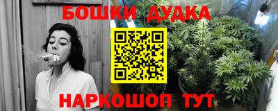 ГАЛЛЮЦИНОГЕННЫЕ ГРИБЫ Гатчина