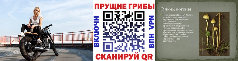 площадка формула  как найти закладки  Минусинск  Галлюциногенные грибы GOLDEN TEACHER 
