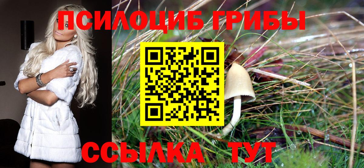 Псилоцибиновые грибы GOLDEN TEACHER Минусинск