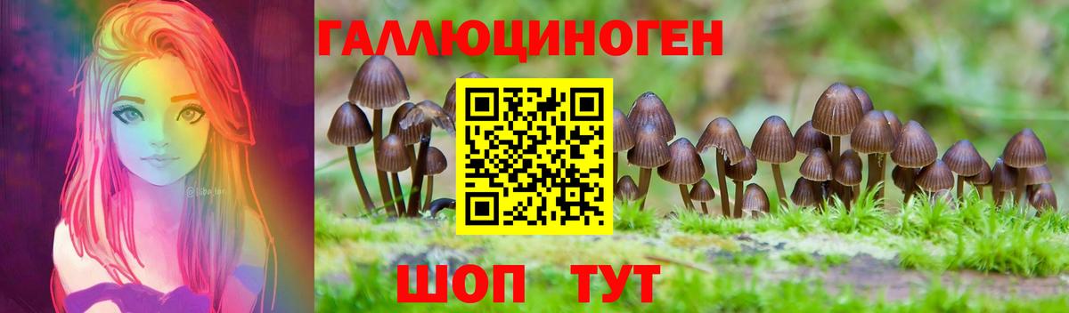 Минусинск  Псилоцибиновые грибы ЛСД  купить   Вход с VPN 